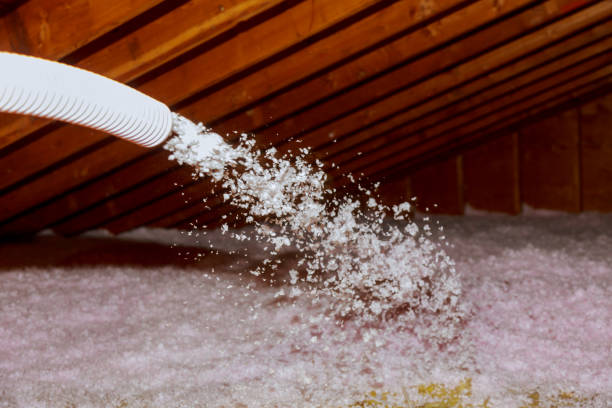 Best Residential Insulation in Pquemine, LA