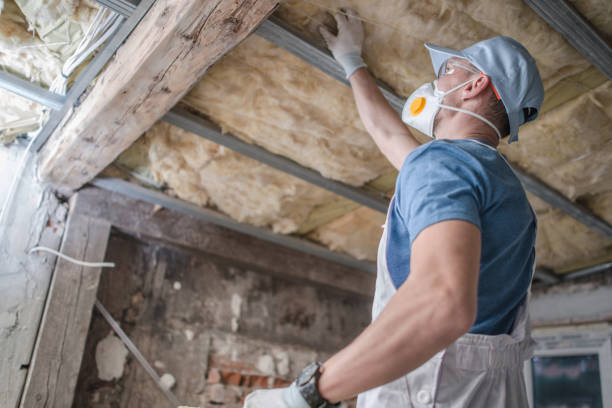 Best Energy Efficiency Insulation in Pquemine, LA